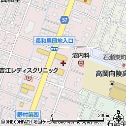 富山県高岡市野村1328周辺の地図