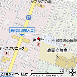 富山県高岡市野村1334-1周辺の地図