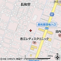 富山県高岡市野村1202周辺の地図