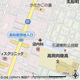 富山県高岡市野村1335周辺の地図