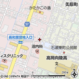 富山県高岡市野村1336周辺の地図