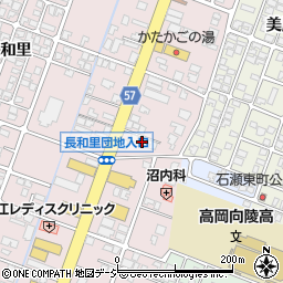 富山県高岡市野村1363周辺の地図