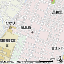 富山県高岡市野村1119周辺の地図