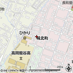 富山県高岡市野村1070-17周辺の地図