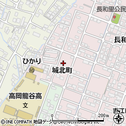 富山県高岡市野村1113周辺の地図