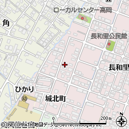 富山県高岡市野村1451周辺の地図