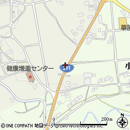 群馬県利根郡みなかみ町川上383周辺の地図