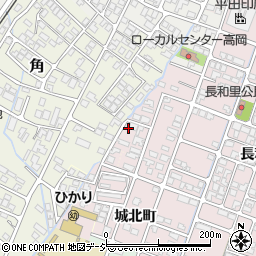 富山県高岡市野村1460周辺の地図