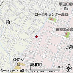 富山県高岡市野村1461周辺の地図