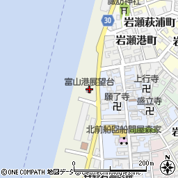 富山港展望台周辺の地図