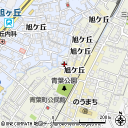 富山県高岡市角500-5周辺の地図