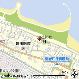 富山県射水市海老江208周辺の地図