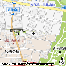 富山県高岡市姫野19-4周辺の地図