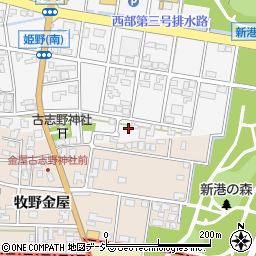 富山県高岡市姫野19-2周辺の地図