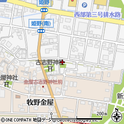 富山県高岡市姫野23周辺の地図