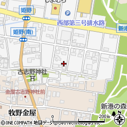 富山県高岡市姫野53周辺の地図