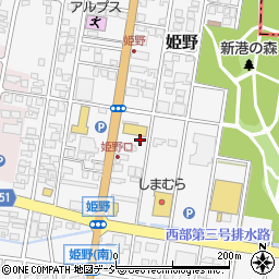 富山県高岡市姫野289-5周辺の地図