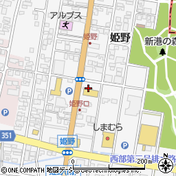 富山県高岡市姫野291-1周辺の地図