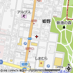 富山県高岡市姫野292-4周辺の地図