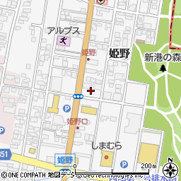 富山県高岡市姫野292-3周辺の地図