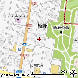 富山県高岡市姫野315-6周辺の地図
