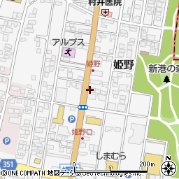 富山県高岡市姫野294-2周辺の地図