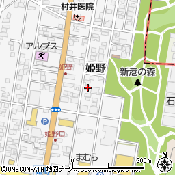 富山県高岡市姫野314周辺の地図