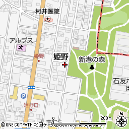 富山県高岡市姫野311-7周辺の地図