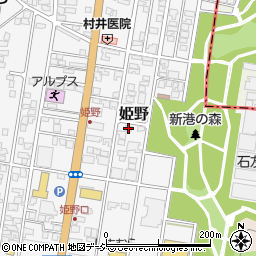富山県高岡市姫野311-9周辺の地図