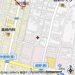富山県高岡市姫野24-25周辺の地図