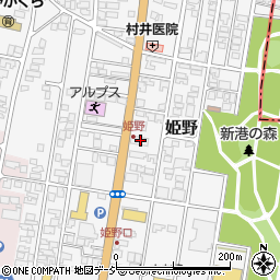 富山県高岡市姫野296周辺の地図
