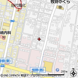 富山県高岡市姫野24周辺の地図