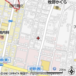 富山県高岡市姫野24-7周辺の地図