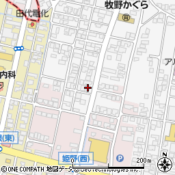 富山県高岡市姫野24-6周辺の地図