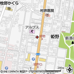 富山県高岡市姫野508-20周辺の地図