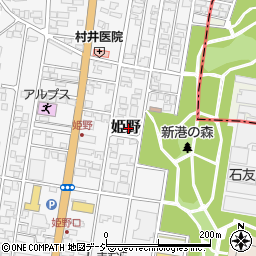 富山県高岡市姫野311-5周辺の地図