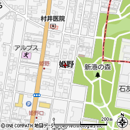 富山県高岡市姫野311-4周辺の地図