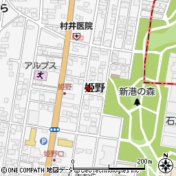 富山県高岡市姫野311-3周辺の地図