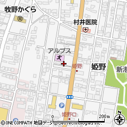 富山県高岡市姫野507周辺の地図
