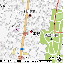 富山県高岡市姫野299-4周辺の地図
