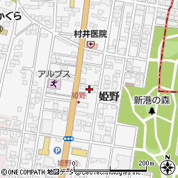 富山県高岡市姫野299-6周辺の地図