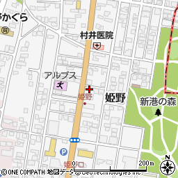 富山県高岡市姫野299-1周辺の地図