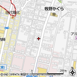 富山県高岡市姫野29-8周辺の地図