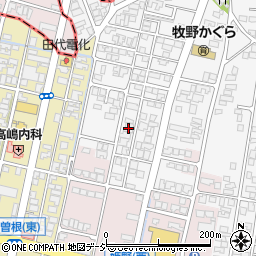 富山県高岡市姫野29-1周辺の地図