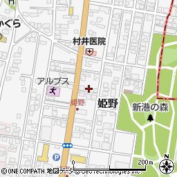 富山県高岡市姫野300-9周辺の地図