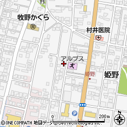 富山県高岡市姫野481-1周辺の地図