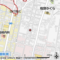 富山県高岡市姫野29-7周辺の地図