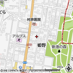 富山県高岡市姫野301-5周辺の地図