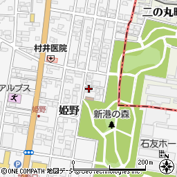 富山県高岡市姫野328-3周辺の地図