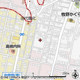富山県高岡市姫野919-4周辺の地図